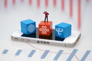 上海市民可到三家營業(yè)廳辦理攜號轉(zhuǎn)網(wǎng)，附轉(zhuǎn)網(wǎng)最詳攻略及基礎(chǔ)電信業(yè)務(wù)解析